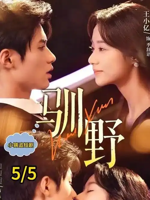 代码之城 职场剧全集在线看